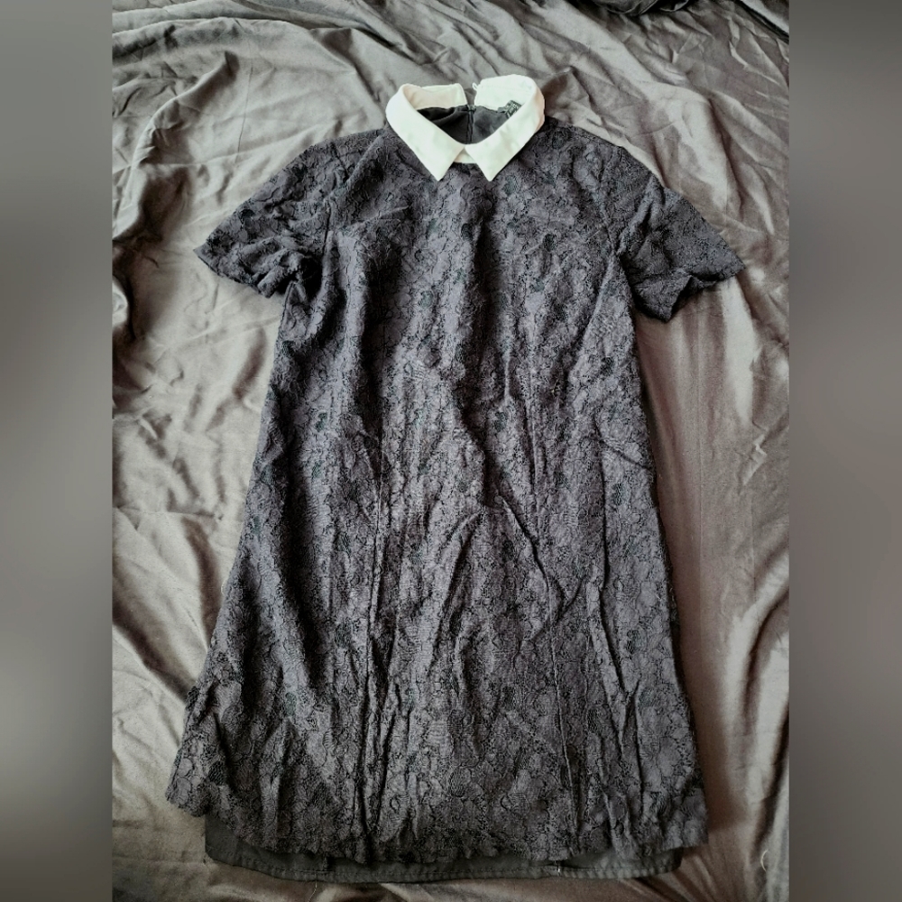 Black lace mini dress with white collar